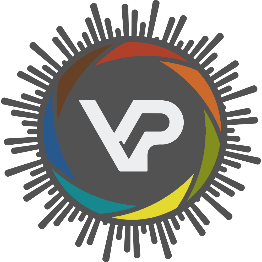 Logo Vincent Paladines